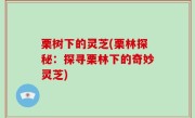 栗树下的灵芝(栗林探秘：探寻栗林下的奇妙灵芝)