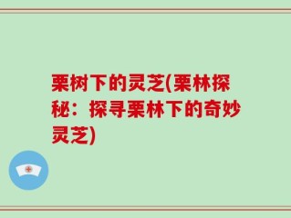 栗树下的灵芝(栗林探秘：探寻栗林下的奇妙灵芝)