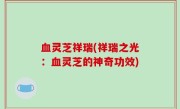 血灵芝祥瑞(祥瑞之光：血灵芝的神奇功效)