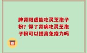 脾肾阳虚能吃灵芝孢子粉？得了肾病吃灵芝孢子粉可以提高免疫力吗