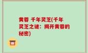 黄蓉 千年灵芝(千年灵芝之谜：揭开黄蓉的秘密)