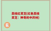荔枝红灵芝(红色荔枝灵芝：神奇的中药材)