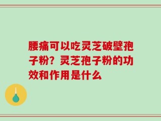 腰痛可以吃灵芝破壁孢子粉？灵芝孢子粉的功效和作用是什么