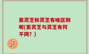 紫灵芝和灵芝有啥区别呢(紫灵芝与灵芝有何不同？)