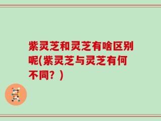 紫灵芝和灵芝有啥区别呢(紫灵芝与灵芝有何不同？)
