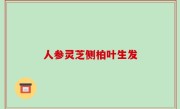 人参灵芝侧柏叶生发