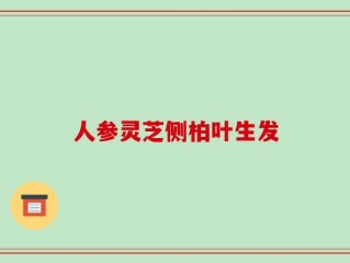 人参灵芝侧柏叶生发
