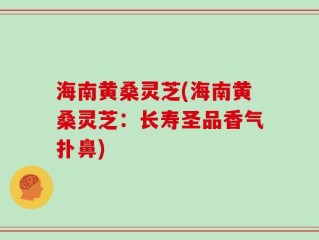 海南黄桑灵芝(海南黄桑灵芝：长寿圣品香气扑鼻)