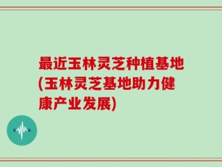 最近玉林灵芝种植基地(玉林灵芝基地助力健康产业发展)