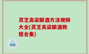 灵芝高粱酿酒方法视频大全(灵芝高粱酿酒教程合集)
