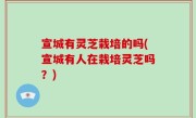宣城有灵芝栽培的吗(宣城有人在栽培灵芝吗？)