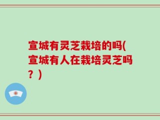 宣城有灵芝栽培的吗(宣城有人在栽培灵芝吗？)