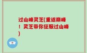 过山峰灵芝(重返巅峰！灵芝带你征服过山峰)