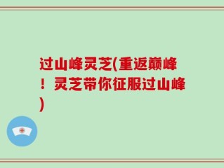 过山峰灵芝(重返巅峰！灵芝带你征服过山峰)