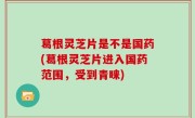 葛根灵芝片是不是国药(葛根灵芝片进入国药范围，受到青睐)