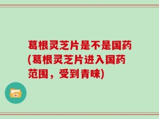 葛根灵芝片是不是国药(葛根灵芝片进入国药范围，受到青睐)