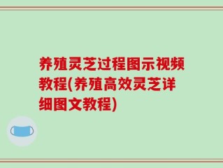 养殖灵芝过程图示视频教程(养殖高效灵芝详细图文教程)