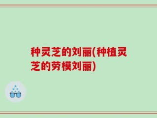 种灵芝的刘丽(种植灵芝的劳模刘丽)