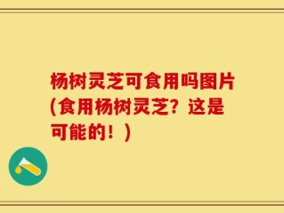 杨树灵芝可食用吗图片(食用杨树灵芝？这是可能的！)