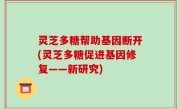 灵芝多糖帮助基因断开(灵芝多糖促进基因修复——新研究)