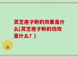 灵芝孢子粉的效果是什么(灵芝孢子粉的功效是什么？)