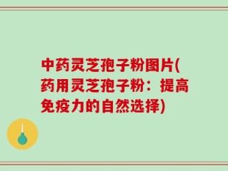中药灵芝孢子粉图片(药用灵芝孢子粉：提高免疫力的自然选择)