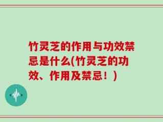 竹灵芝的作用与功效禁忌是什么(竹灵芝的功效、作用及禁忌！)