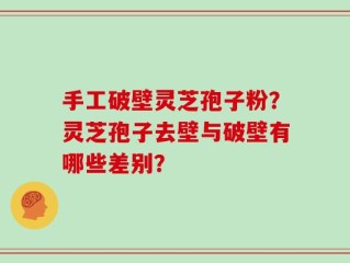 手工破壁灵芝孢子粉？灵芝孢子去壁与破壁有哪些差别？