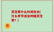 灵芝草什么时间生长(什么季节适合种植灵芝草？)