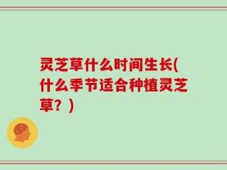 灵芝草什么时间生长(什么季节适合种植灵芝草？)