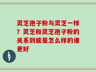 灵芝孢子粉与灵芝一样？灵芝和灵芝孢子粉的关系到底是怎么样的谁更好
