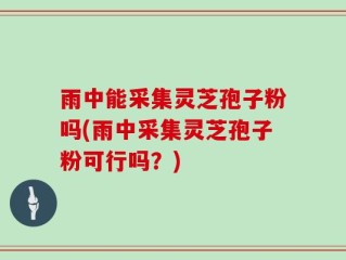 雨中能采集灵芝孢子粉吗(雨中采集灵芝孢子粉可行吗？)