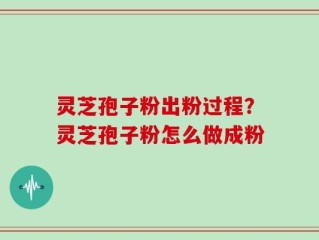 灵芝孢子粉出粉过程？灵芝孢子粉怎么做成粉