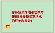 洋参须灵芝泡水功效与作用(洋参须灵芝泡水的好处和益处)