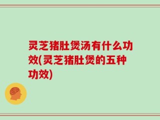 灵芝猪肚煲汤有什么功效(灵芝猪肚煲的五种功效)