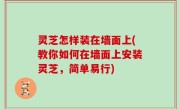 灵芝怎样装在墙面上(教你如何在墙面上安装灵芝，简单易行)