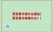 灵芝孢子是什么部位(灵芝孢子体是什么？)
