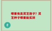 哪里有卖灵芝孢子？灵芝种子哪里能买到