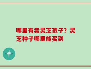 哪里有卖灵芝孢子？灵芝种子哪里能买到
