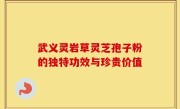 武义灵岩草灵芝孢子粉的独特功效与珍贵价值