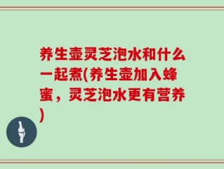 养生壶灵芝泡水和什么一起煮(养生壶加入蜂蜜，灵芝泡水更有营养)