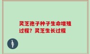 灵芝孢子种子生命增殖过程？灵芝生长过程