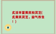 炙淫羊藿黄芪和灵芝(炙黄芪灵芝，益气养生！)