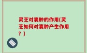 灵芝对囊肿的作用(灵芝如何对囊肿产生作用？)