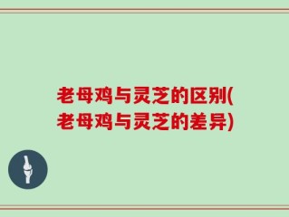 老母鸡与灵芝的区别(老母鸡与灵芝的差异)