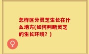 怎样区分灵芝生长在什么地方(如何判断灵芝的生长环境？)