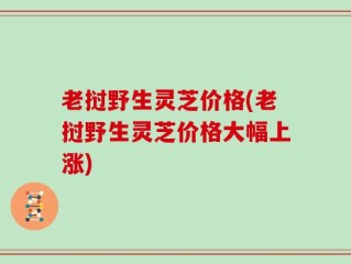 老挝野生灵芝价格(老挝野生灵芝价格大幅上涨)