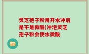 灵芝孢子粉用开水冲后是不是微酸(冲泡灵芝孢子粉会使水微酸