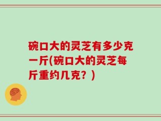 碗口大的灵芝有多少克一斤(碗口大的灵芝每斤重约几克？)