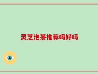 灵芝泡茶推荐吗好吗